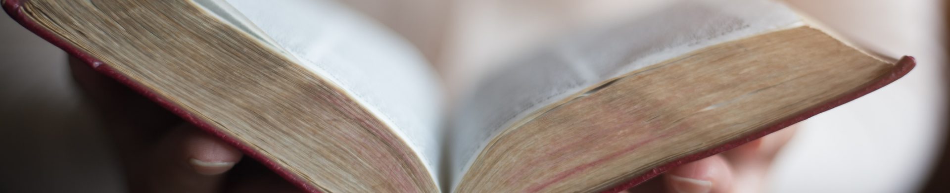 Women reading the Holy Bible.,women reading