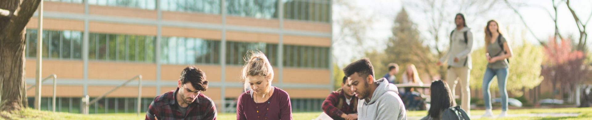 Group of college students study outside in the grass.