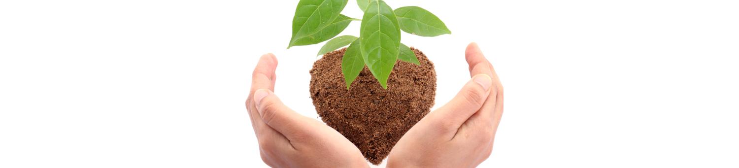 hands holding dirt with new plant