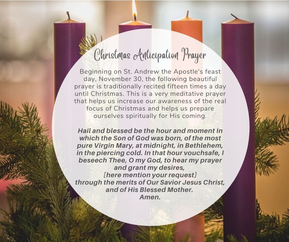 Bishop Bamberas Reflections For Advent 2021 Diocese Of Scranton